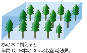 杉の木に例えると、年間12.6本のCO2吸収削減効果。